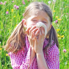 Früher Pollenflug: Was Sie für Ihre Gesundheit tun können